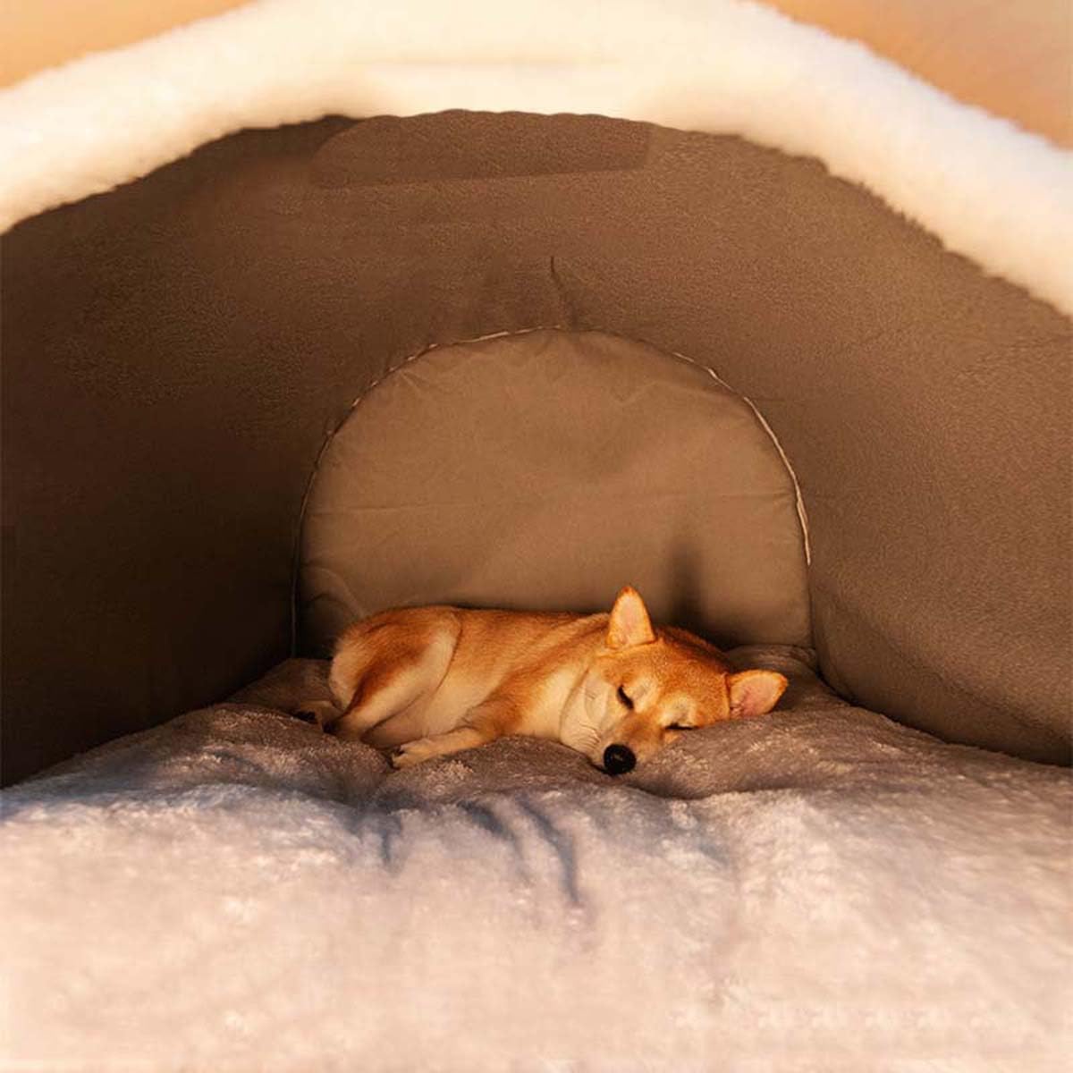 FellNest 2 in 1 Hundehütte und Hundebett faltbar warm mit weichem Kissen rutschfest waschbar für Hunde und Katzen Indoor